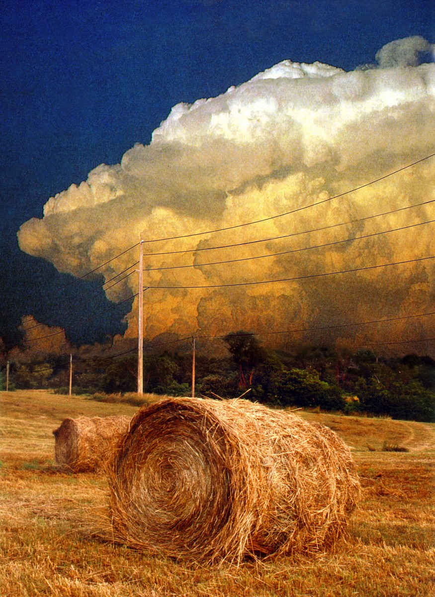 Hay Field Warwick NY